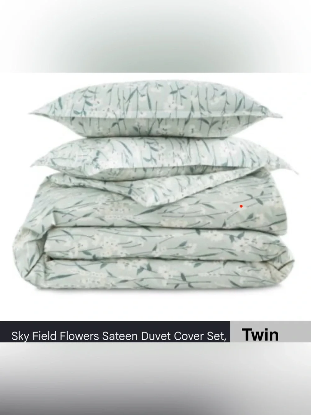 Sky Field Flowers 100% Cotton Duvet Cover Set, Twin, 300 Thread Count
